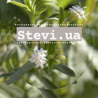 SteviUa