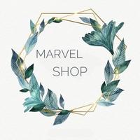 Marvel shop