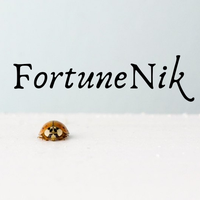 FortuneNik