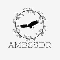 Ambassador Store